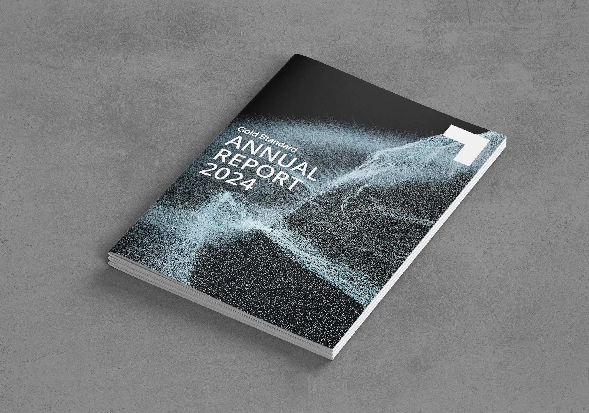 Gold Standard Annual Report 2024