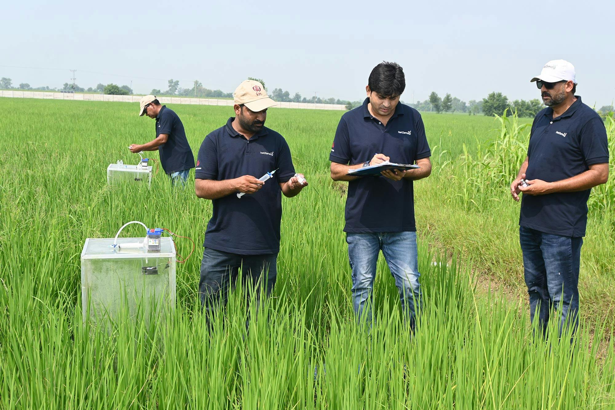 NetZeroAg samples collection