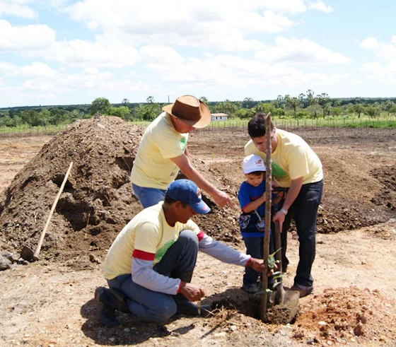 Sustainable Carbon - Ceara project