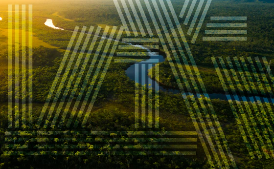 COP-30 BRAZIL 2025